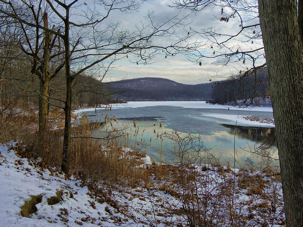 View of Silver Mine Lake from the other side of the stream. Vi took this picture.