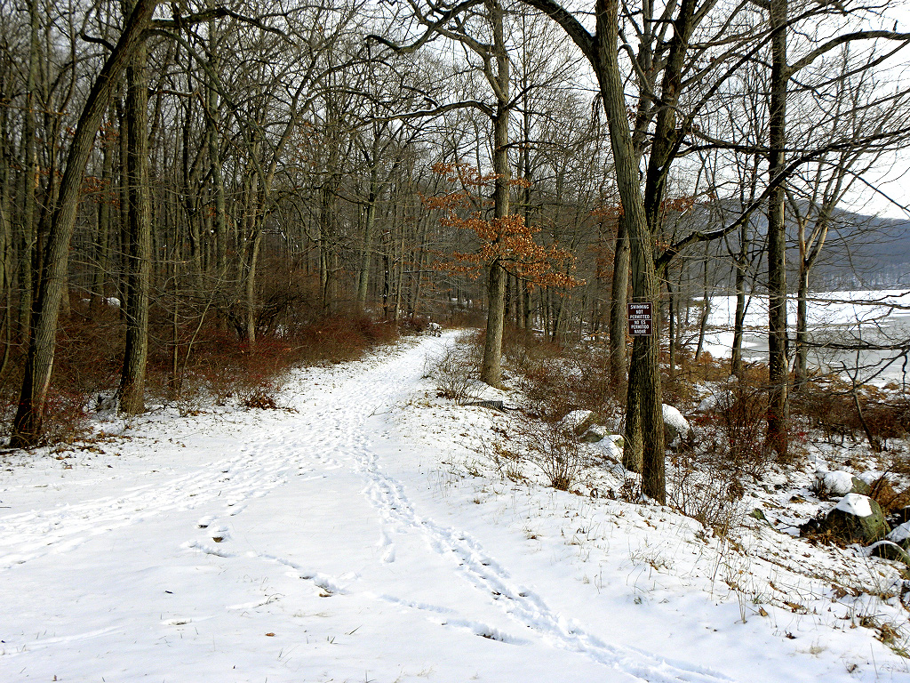 Path alongside Silver Mine Lake. Vi took this picture.