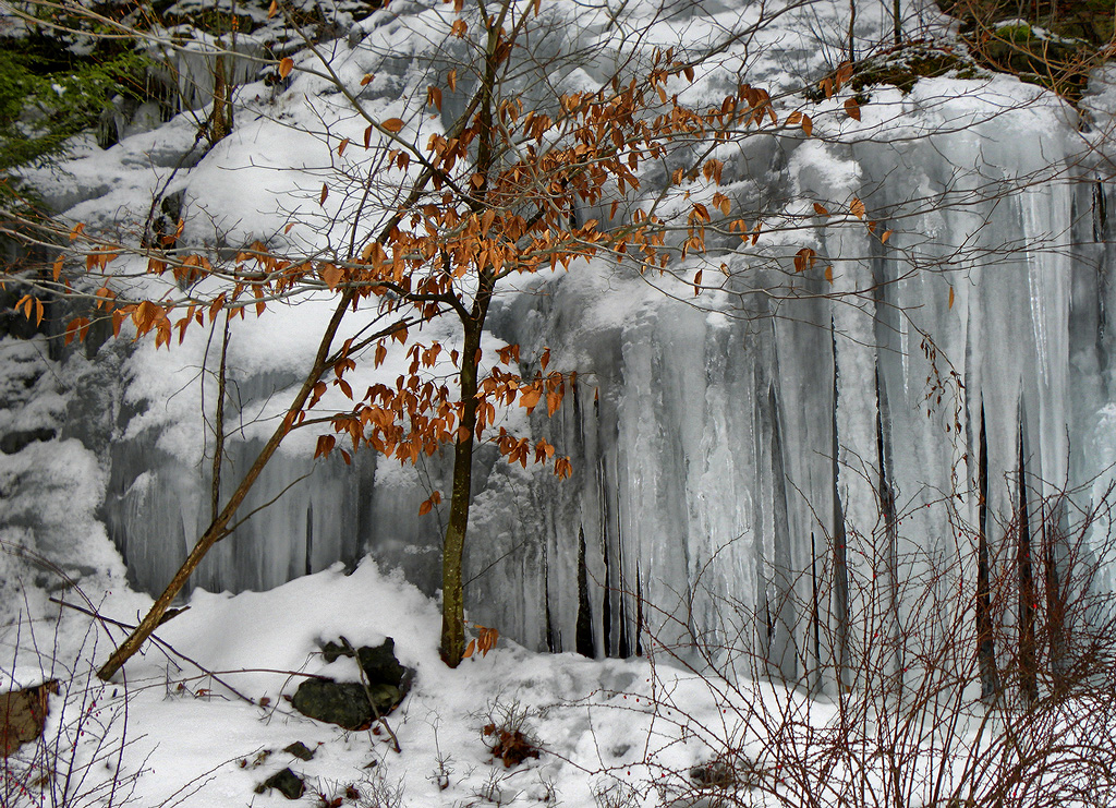 Icicle formation viewed at an angle. Vi took this picture.