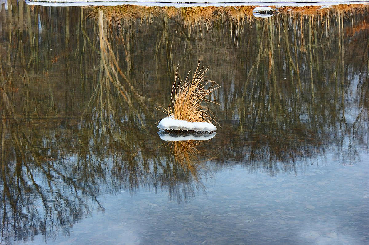 A patch of grass seems to float above Silver Mine Lake.