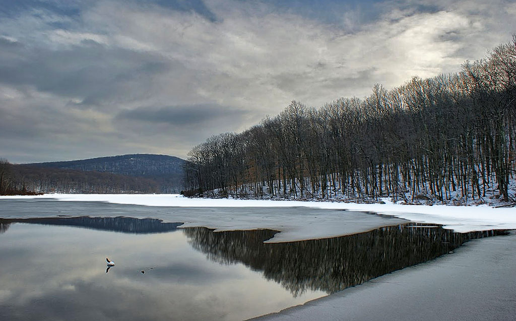 Eastern shore of Silver Mine Lake.