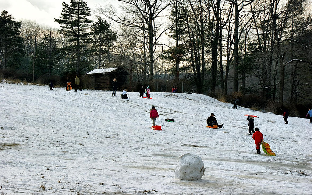 We saw families -- children and adults -- enjoying the sleigh rides.