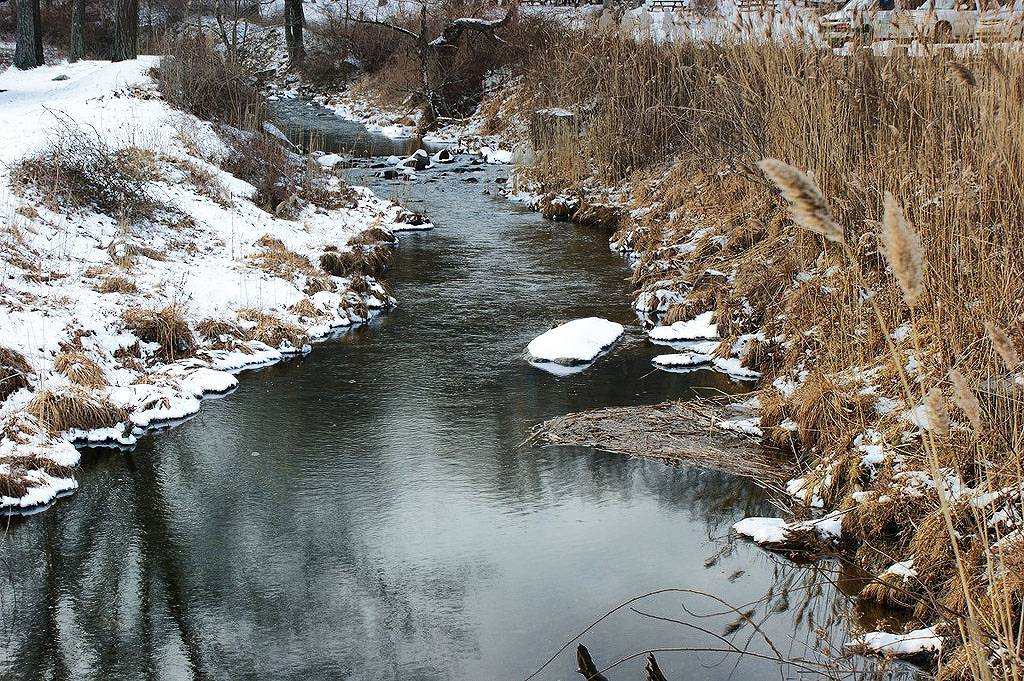 Stream separating the hill where people sled and the parking lot.