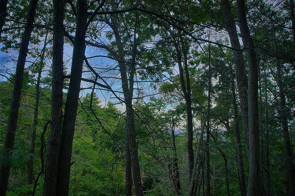awosting trail aumick