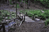 Wooden bridge on the trail.