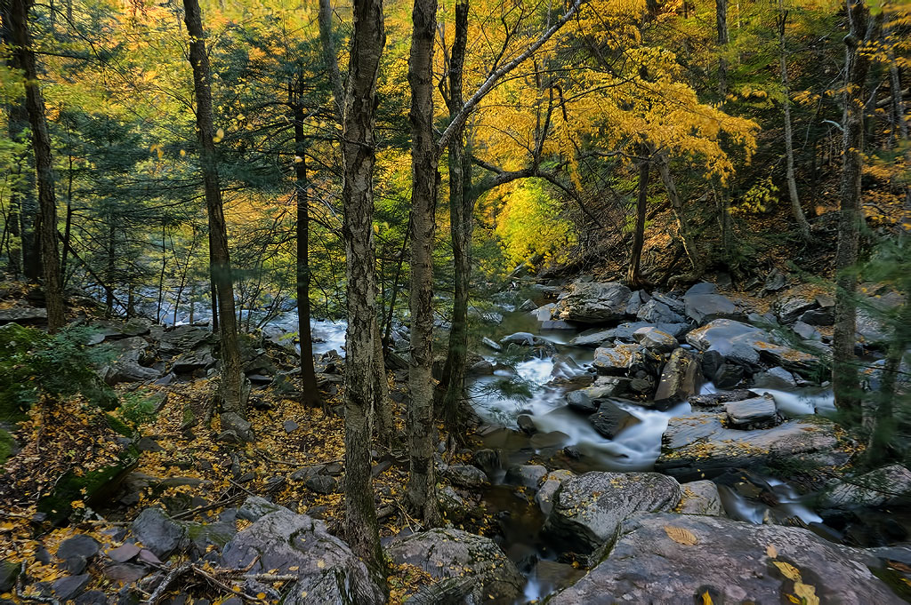 kaaterskill falls