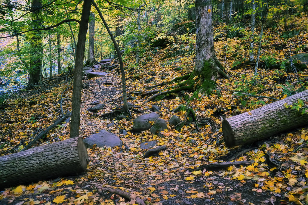 kaaterskill falls