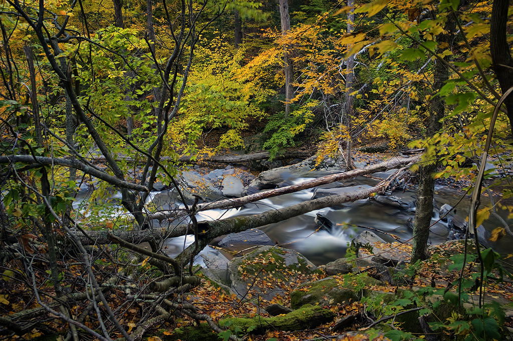 kaaterskill falls