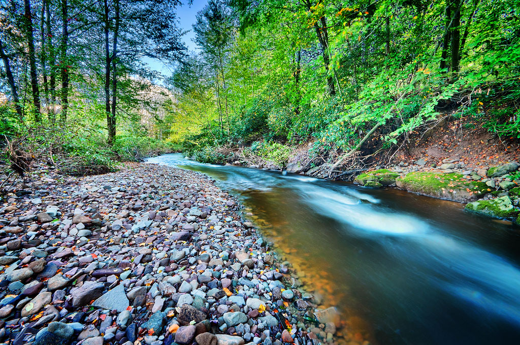 Sandburg Creek - Mountaindale NY