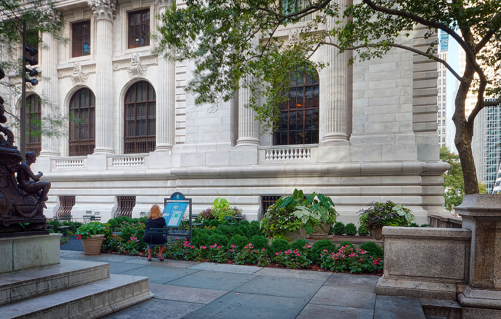 Solitude in NYC