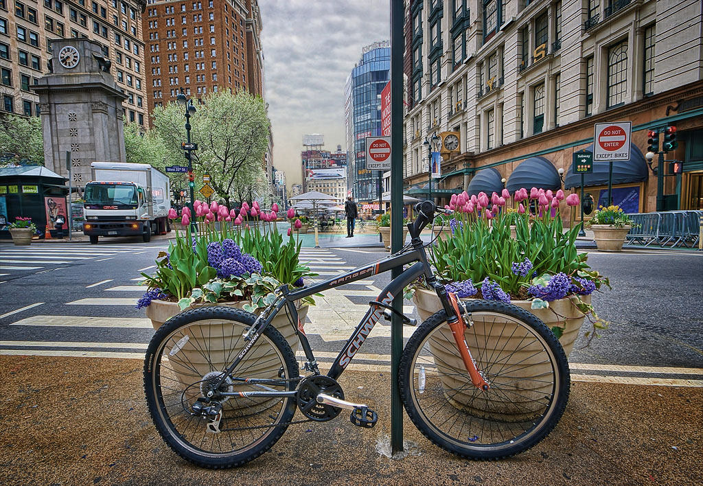 Solitude in NYC