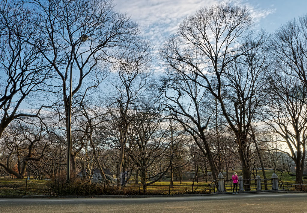 Solitude in NYC