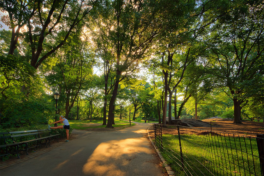 Solitude in NYC