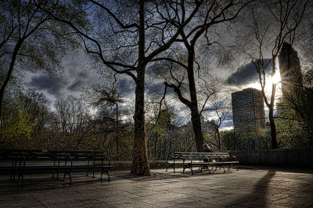 Solitude in NYC