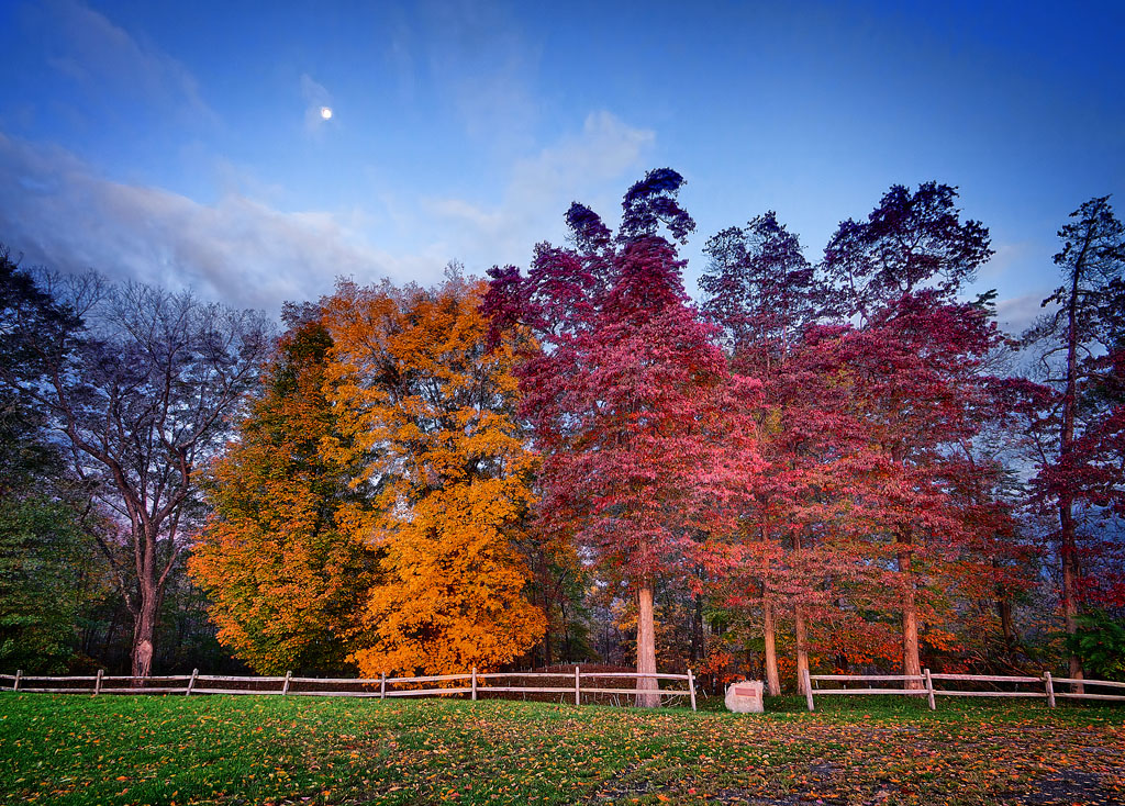 Colored Cemetery, Montgomery, NY