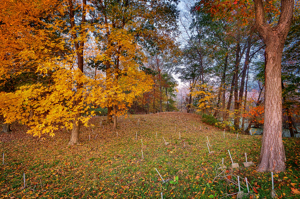 Colored Cemetery, Montgomery, NY