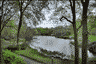 The Pond seen from 59th Street. Gapstow Bridge is on the far end of the Pond.