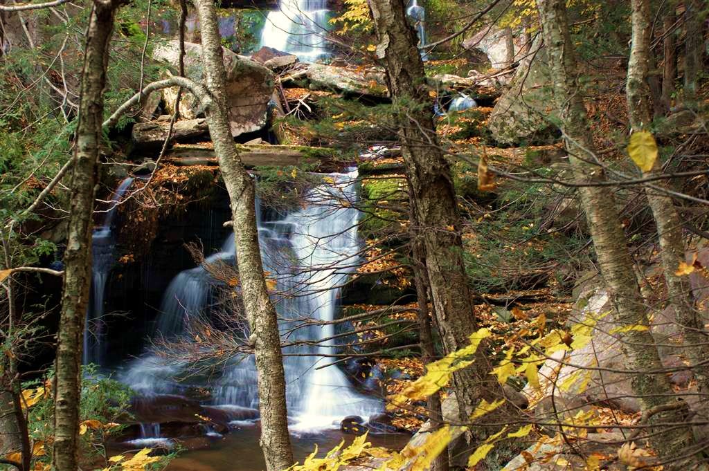 View of Bastion Falls from the hiking trail.