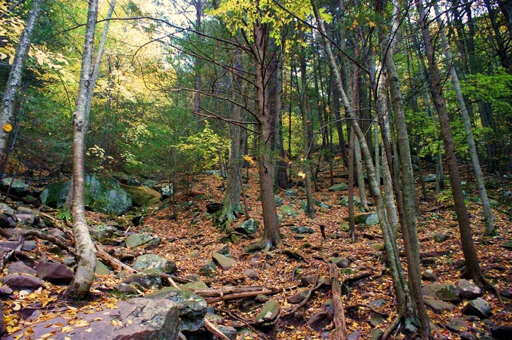 Hiking trail towards Kaaterskill Falls.