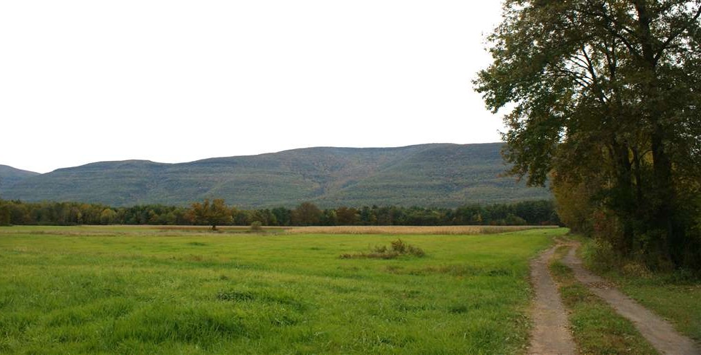 Outskirts of Palenville.