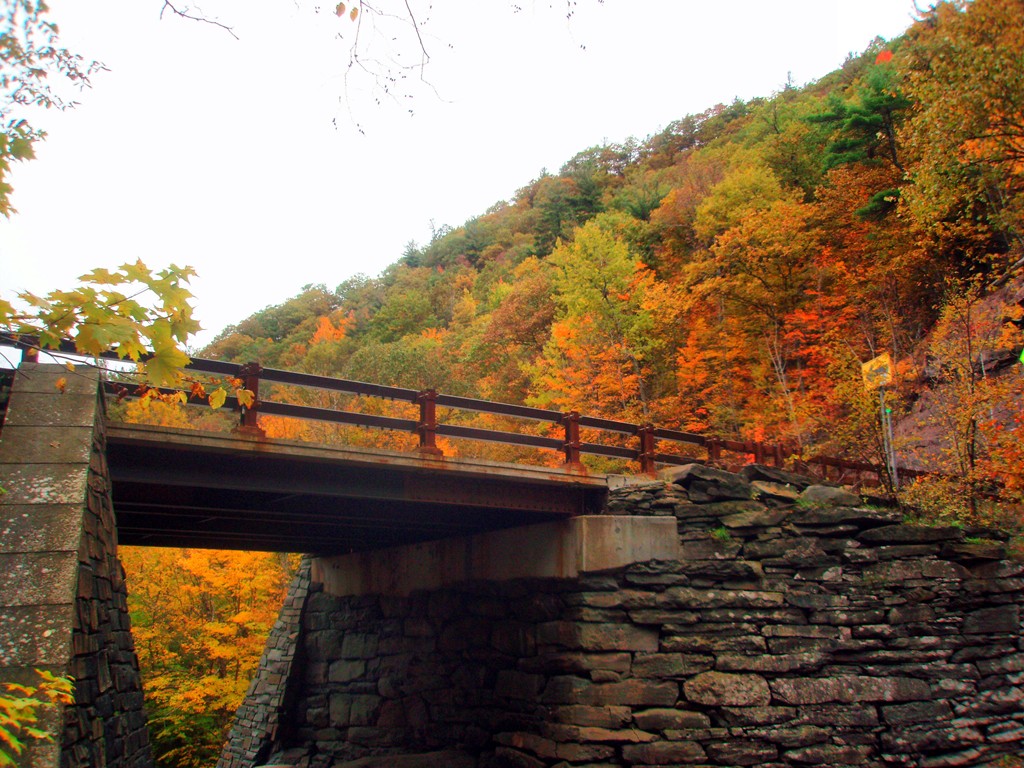 View of Route 17 from Bastion Falls. Picture taken by Vi.